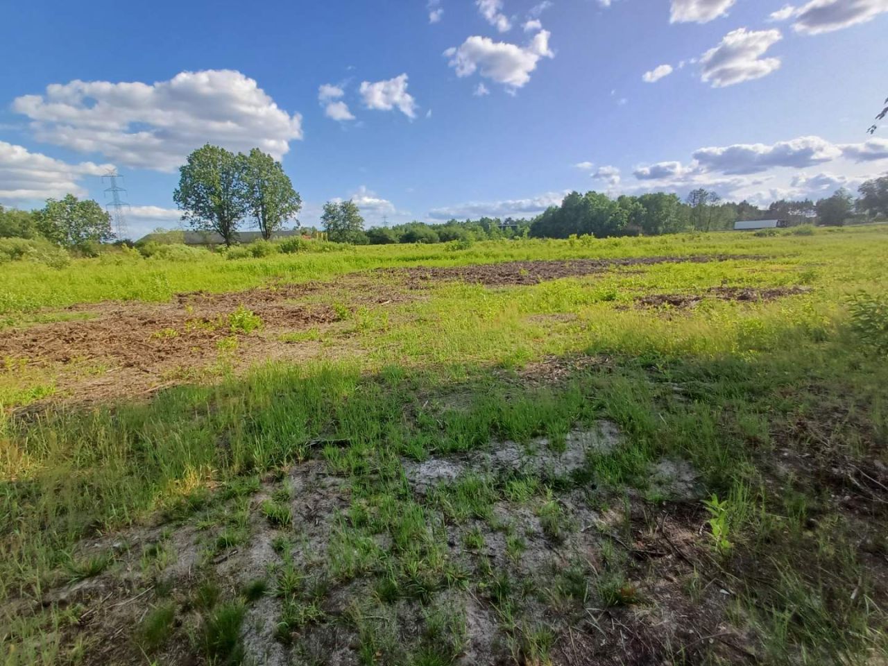 Działka rolno-budowlana Wola Karczewska, ul. Rutki. Zdjęcie 4