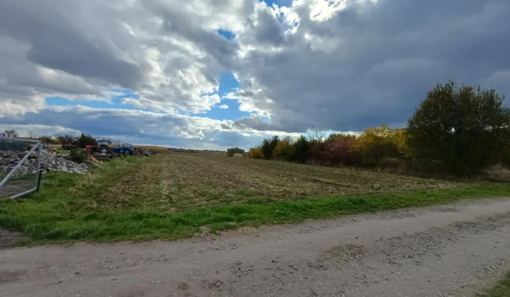Działka budowlana Tarnogród, ul. Tadeusza Kościuszki