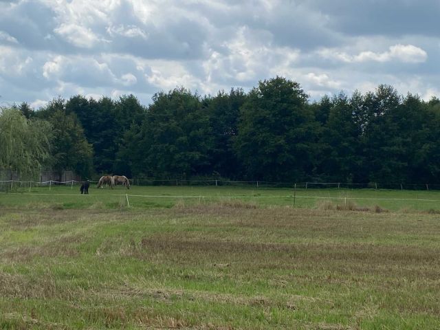 Działka budowlana Boruja Kościelna. Zdjęcie 1