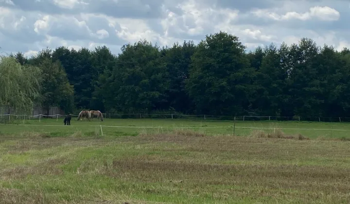 Działka budowlana Boruja Kościelna