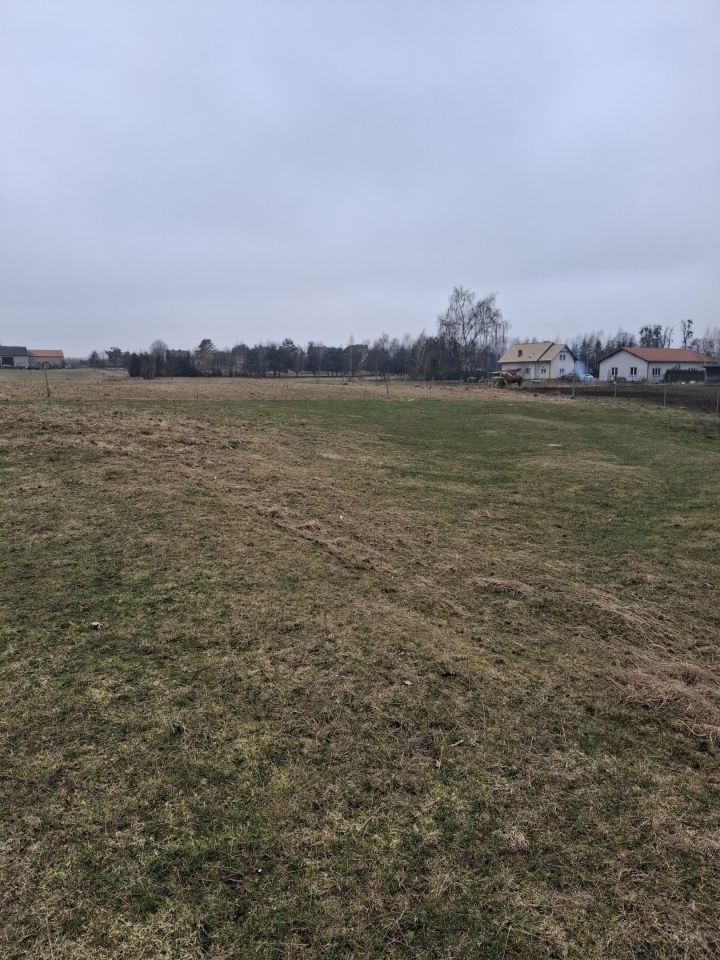 Działka budowlana Skrzeszewo, Łapińska / Kazimierza Deyny. Zdjęcie 5