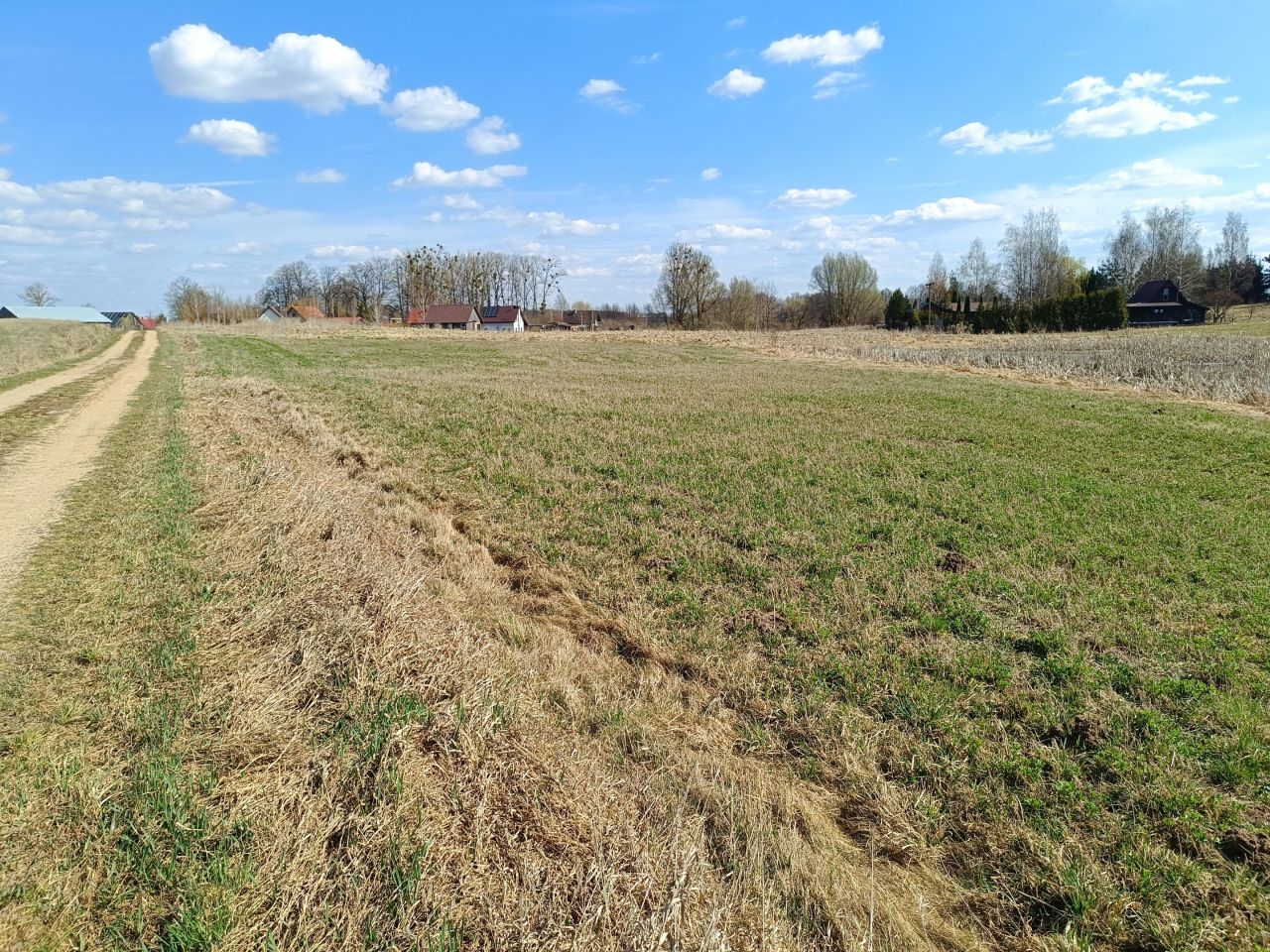 Działka rolno-budowlana Skrzypki. Zdjęcie 1