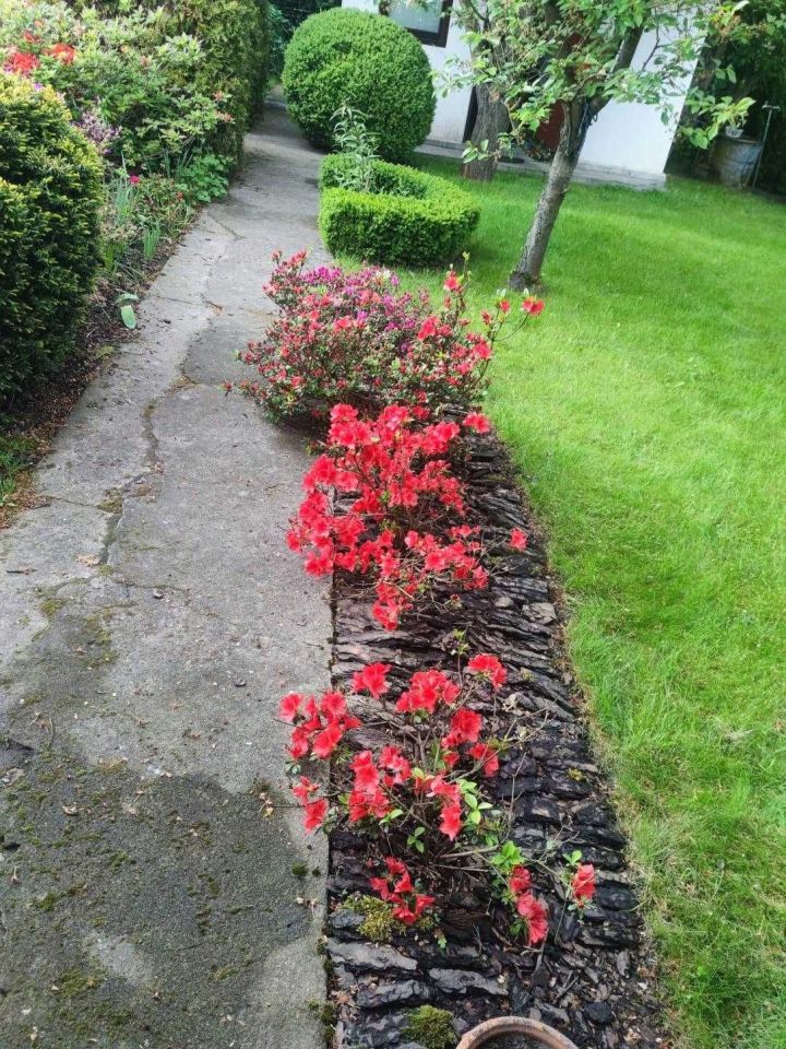 Działka rod Szczecin Bukowo, ul. Bajeczna. Zdjęcie 2