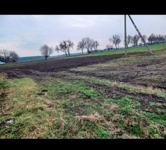 Działka rolno-budowlana Zarębin. Zdjęcie 1