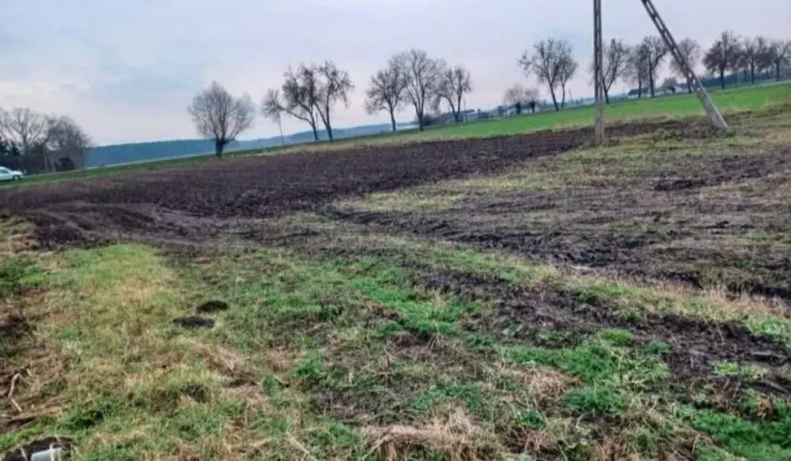 Działka rolno-budowlana Zarębin