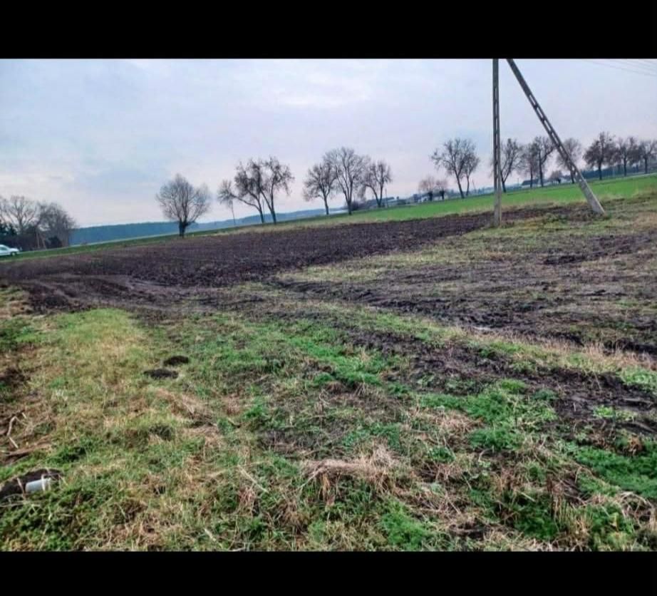 Działka rolno-budowlana Zarębin. Zdjęcie 1