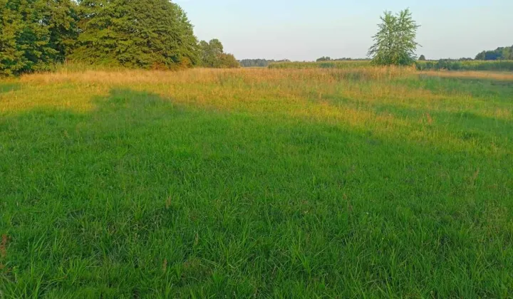 Działka budowlana Kamionacz