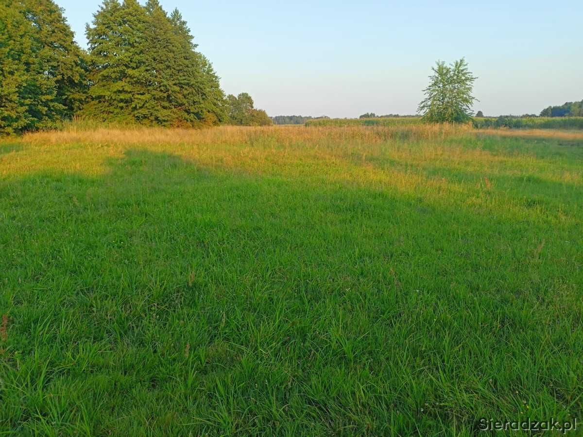 Działka budowlana Kamionacz. Zdjęcie 1
