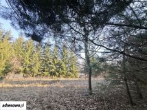 Działka rekreacyjna Gromadzyn. Zdjęcie 3