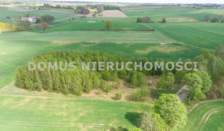 Działka budowlana Olsza