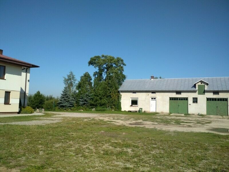 Działka rolna Miedzechów. Zdjęcie 4