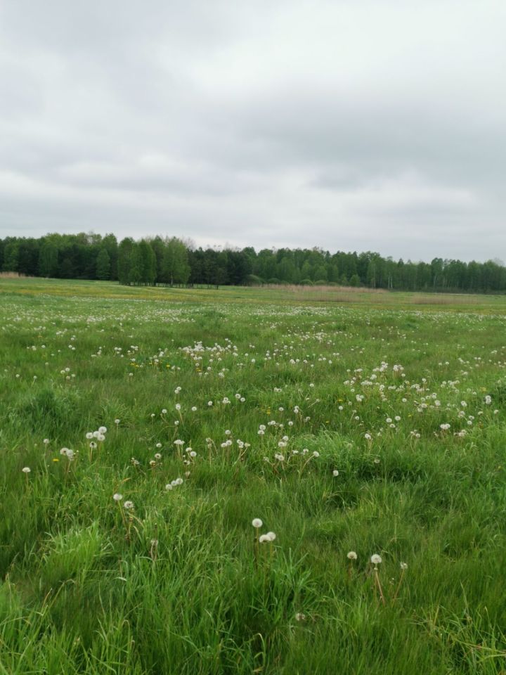 Działka budowlana Krasów. Zdjęcie 4