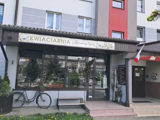 Lokal Bełchatów, ul. Witolda Budryka. Zdjęcie 1