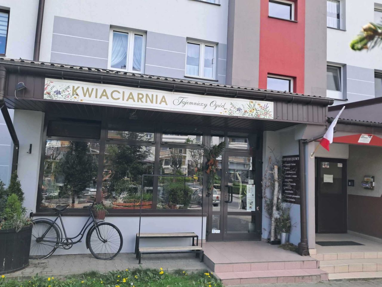Lokal Bełchatów, ul. Witolda Budryka