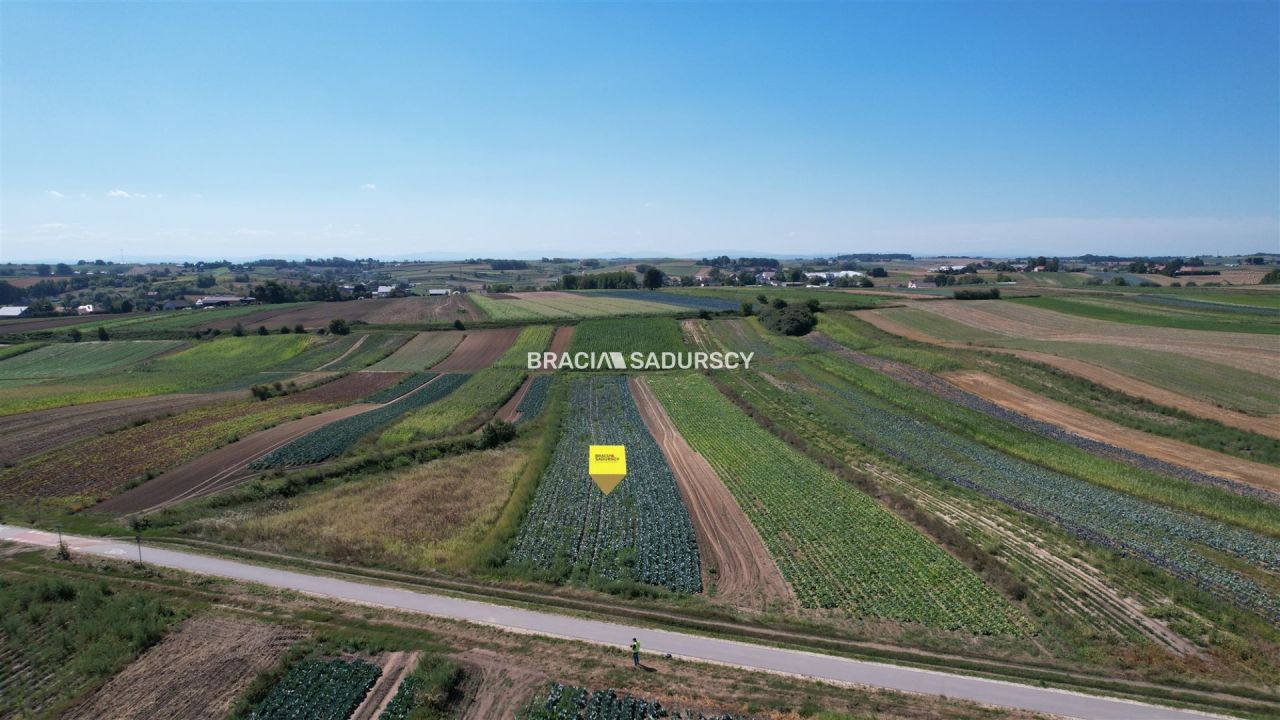 Działka rolna Proszowice, ul. Krakowska. Zdjęcie 9