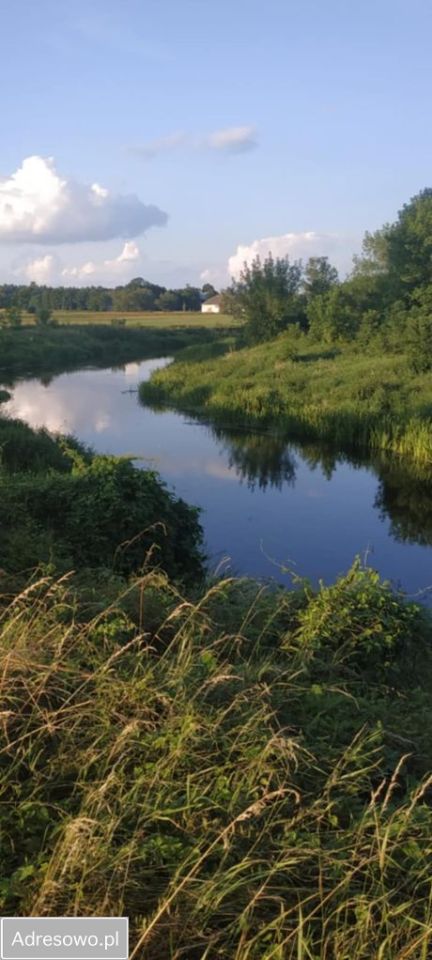 Działka rolno-budowlana Ślepowrony. Zdjęcie 2
