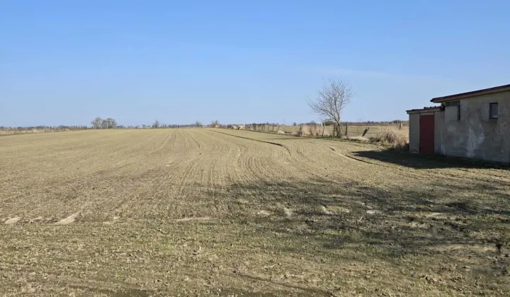 Działka rolna Śmiłowo, ul. Działkowa