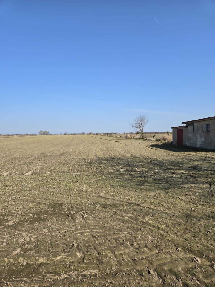 Działka rolna Śmiłowo, ul. Działkowa. Zdjęcie 1