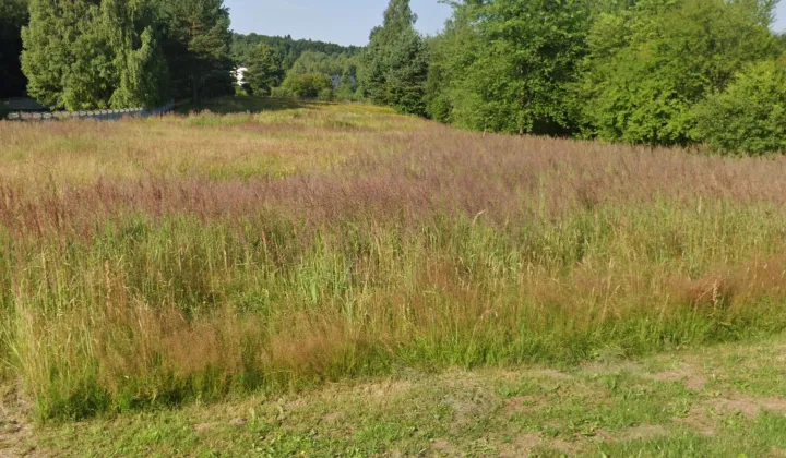 Działka budowlana Siodła, Siodła