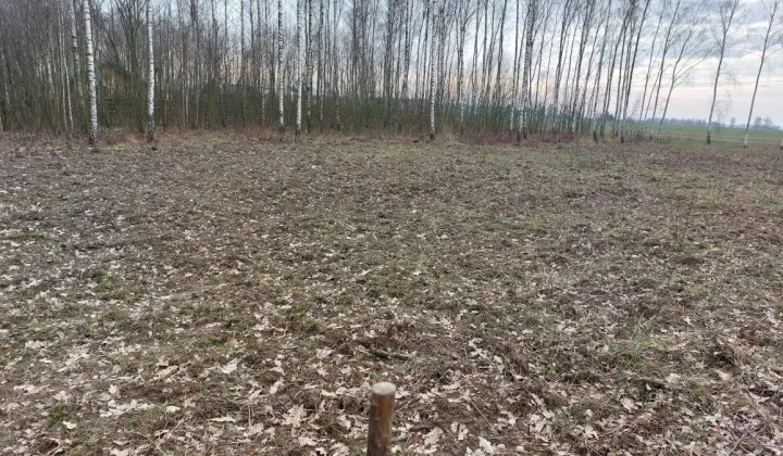 Działka budowlana Sobanice