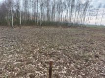 Działka budowlana Sobanice