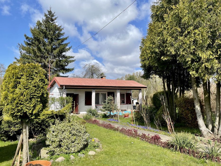 Działka rekreacyjna Szczecin Pomorzany, ul. gen. Stanisława Taczaka. Zdjęcie 1