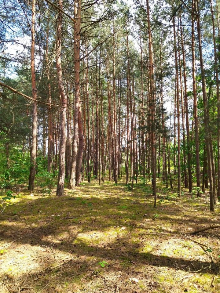 Działka Gościencin. Zdjęcie 8