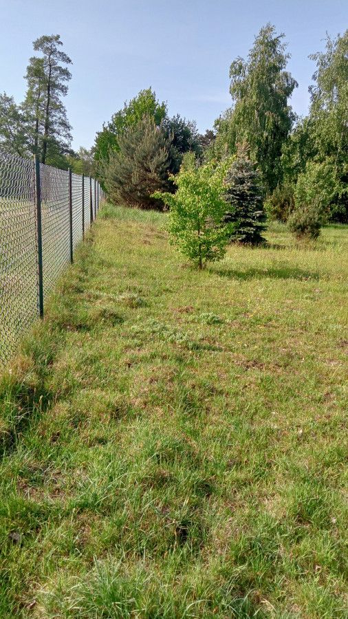 Działka rolna Skęczniew. Zdjęcie 5