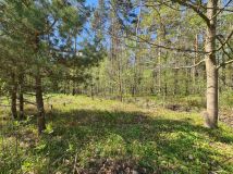 Działka budowlana Ostrowiec Świętokrzyski, ul. Oliwkowa. Zdjęcie 1