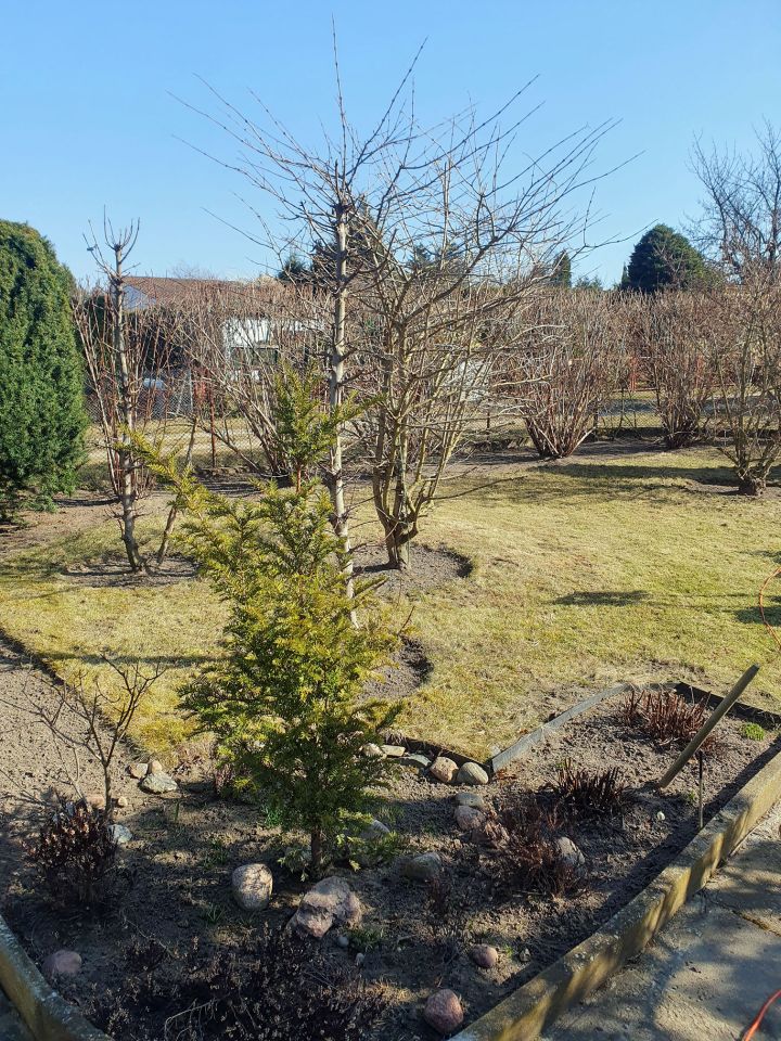 Działka rod Konin Wilków, ul. Świętojańska. Zdjęcie 18