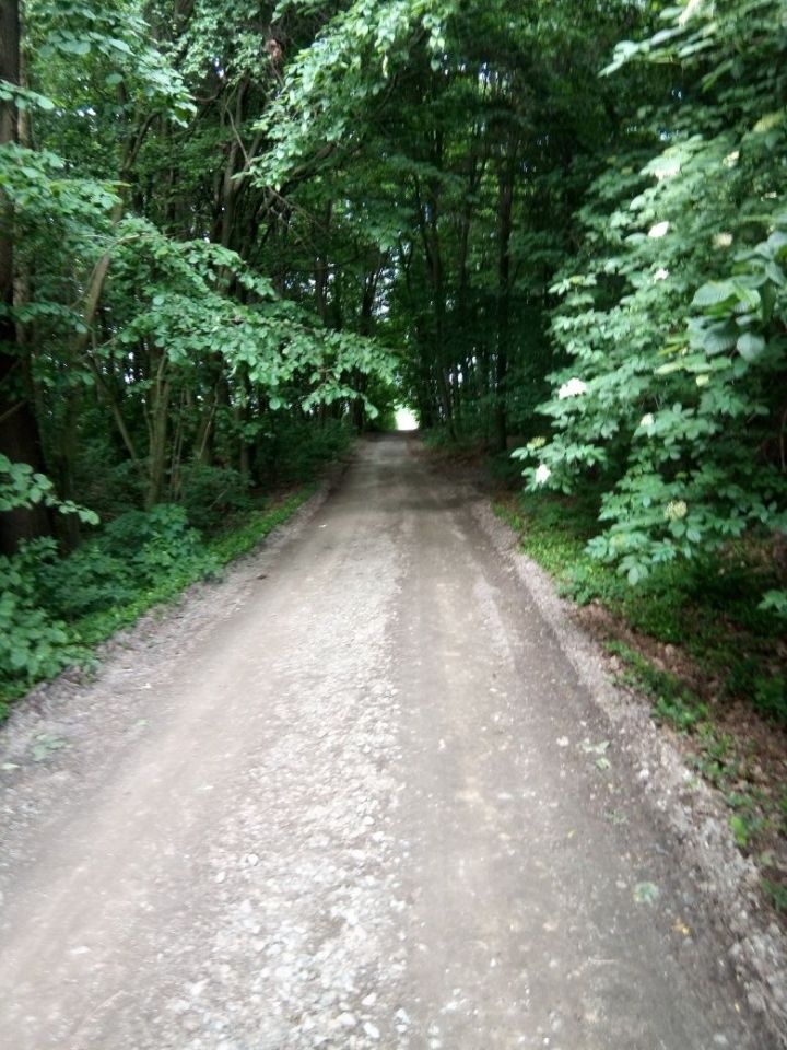 Działka siedliskowa Kajetanów. Zdjęcie 6