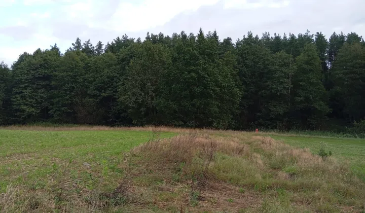 Działka budowlana Szumleś Szlachecki