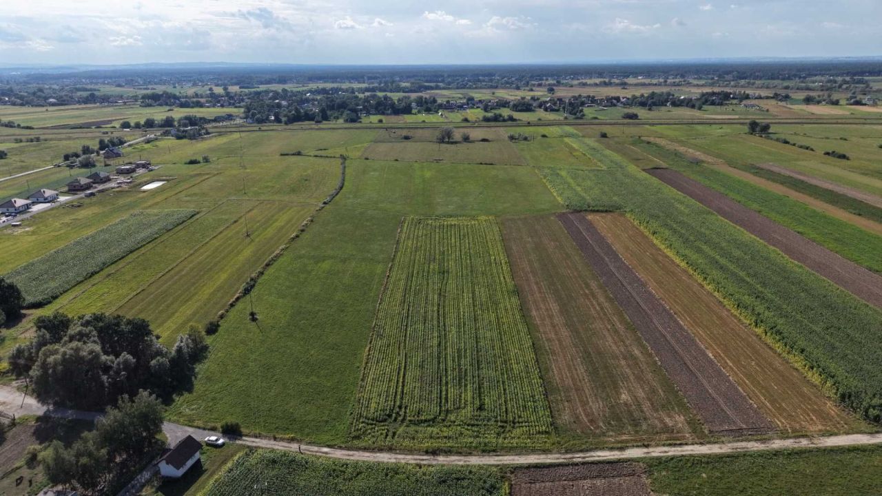 Działka rolno-budowlana Gawłów. Zdjęcie 3