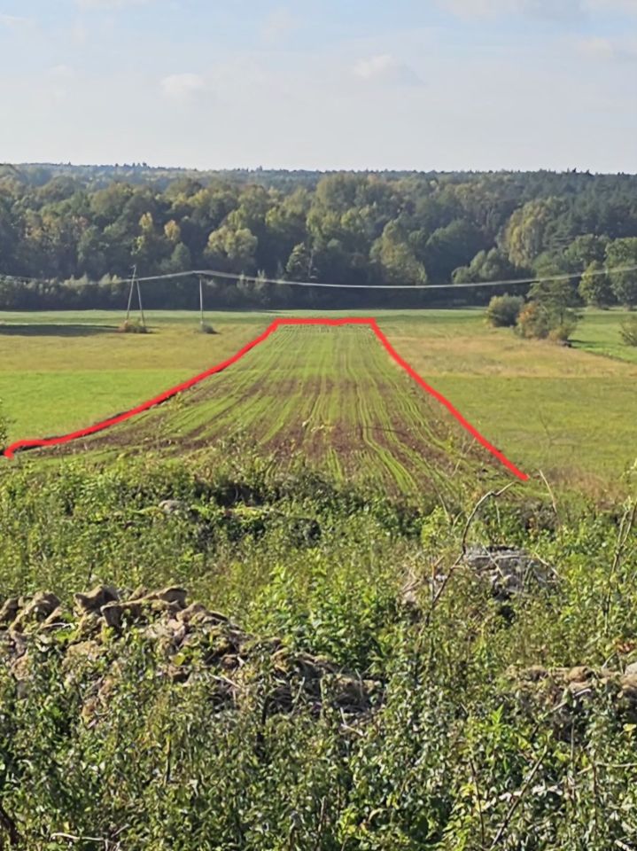 Działka rolno-budowlana Lipa. Zdjęcie 3