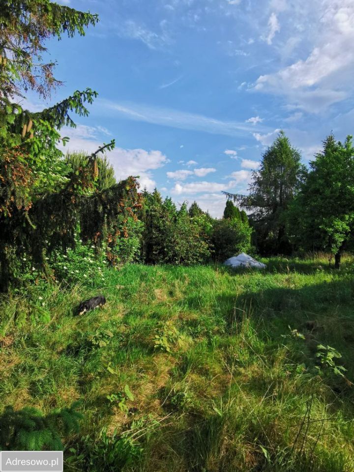 Działka budowlana Jaworowa. Zdjęcie 4