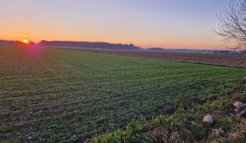 Działka budowlana Gorzyce Wielkie, ul. Topolowa