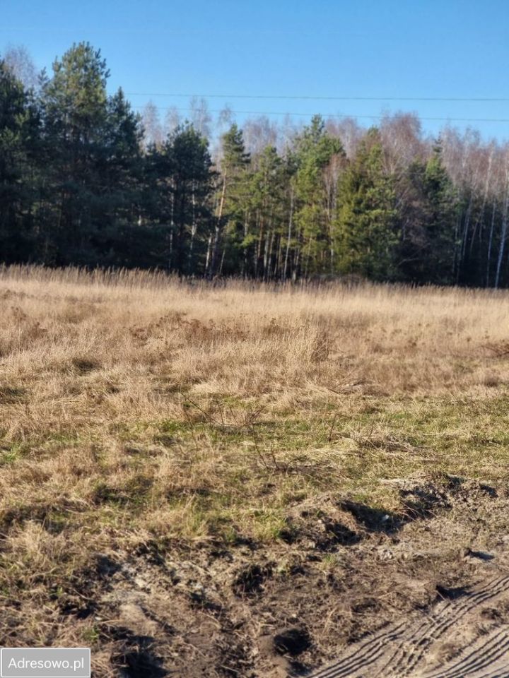 Działka budowlana Grabanów. Zdjęcie 6