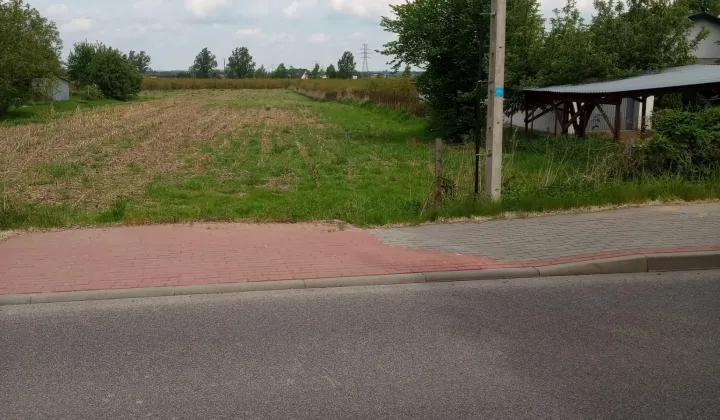 Działka rolna Zarzeczewo