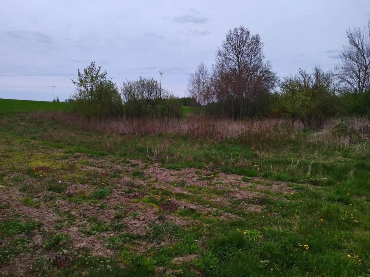 Działka budowlana Dźwierzuty, Dźwierzuty. Zdjęcie 17