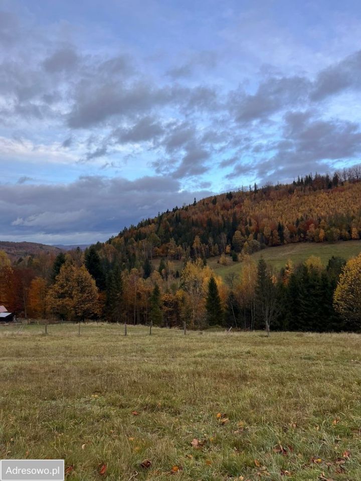 Działka budowlana Wisła Jawornik, ul. Polna. Zdjęcie 1