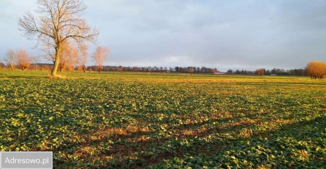 Działka budowlana Władysławowo Adamowo-Osiedle. Zdjęcie 1