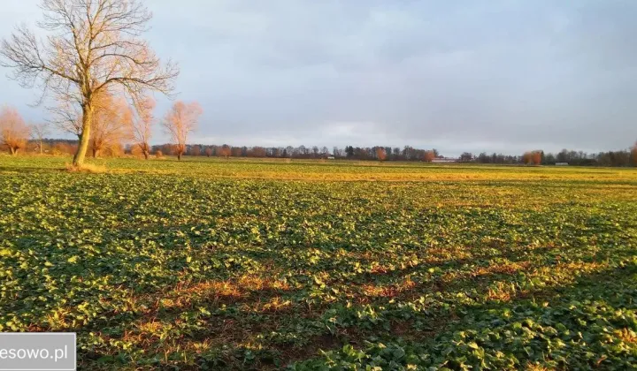 Działka budowlana Władysławowo Adamowo-Osiedle