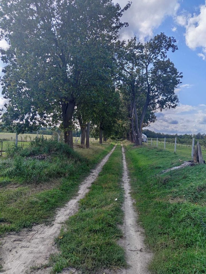 Działka budowlana Lutom. Zdjęcie 8