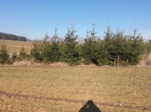 Działka budowlana Kolincz. Zdjęcie 4