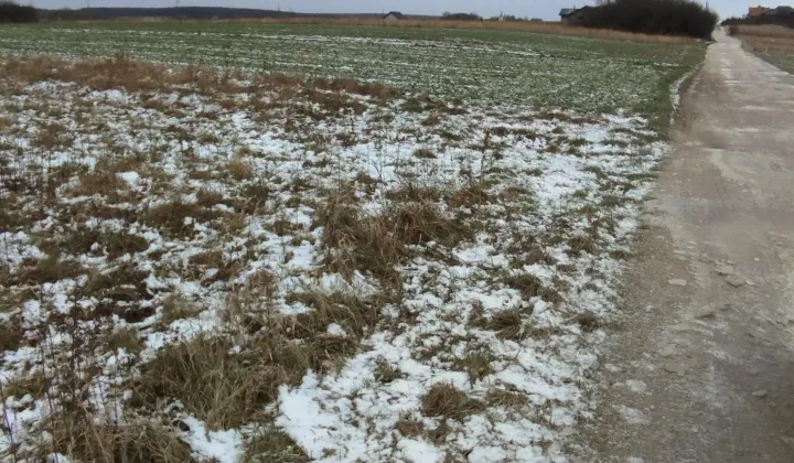 Działka rolna Brzeziny Stara Wieś, ul. Słoneczna