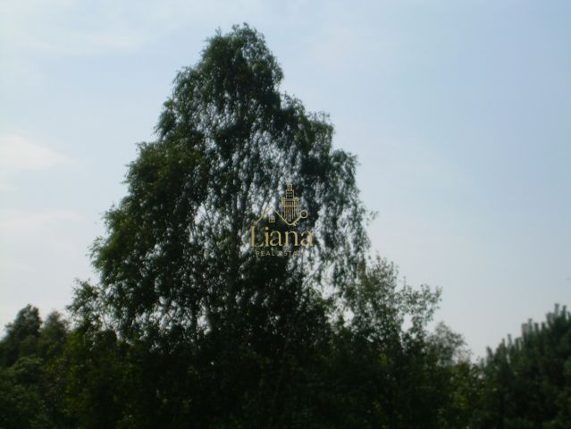 Działka budowlana Kobyla. Zdjęcie 8