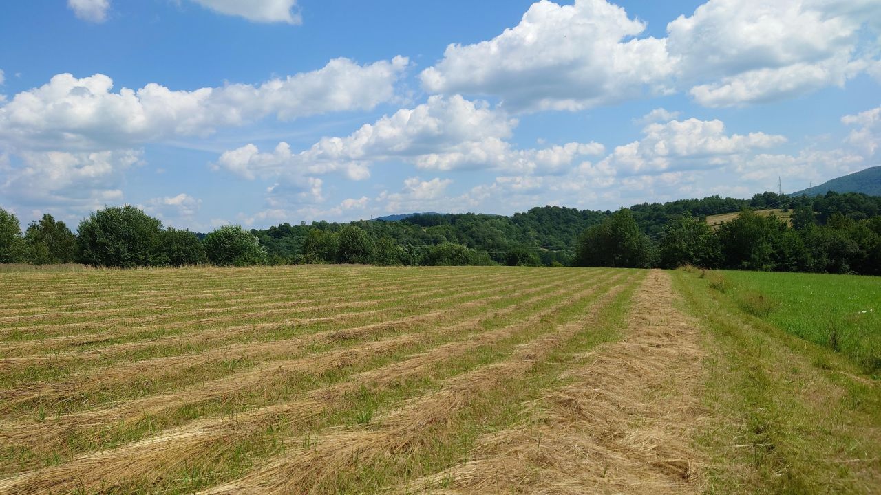 Działka budowlana Bóbrka. Zdjęcie 4