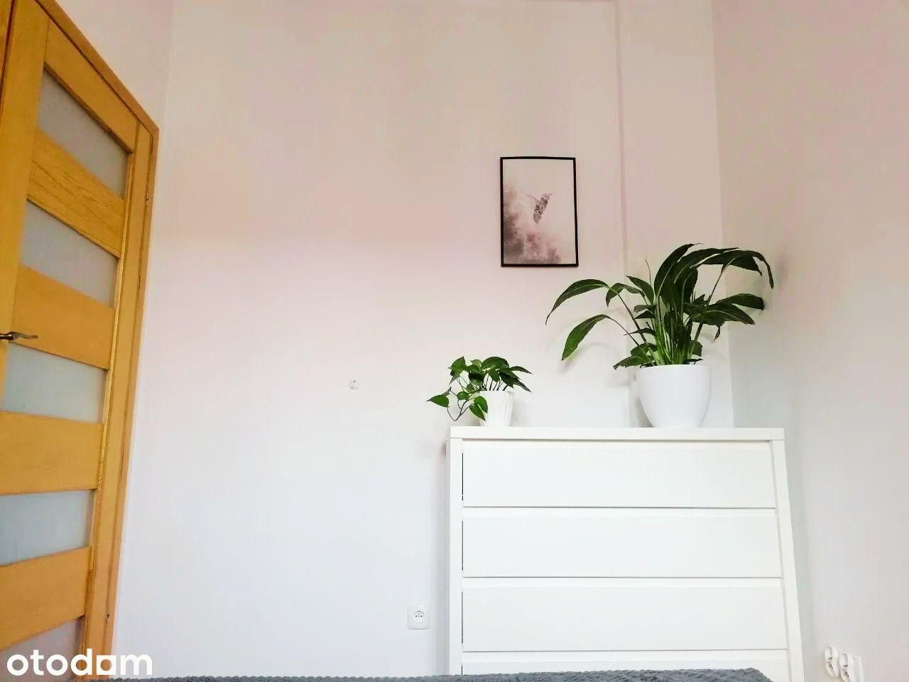 Mieszkanie 3-pokojowe Szczecin Niebuszewo, ul. Mikołaja Reja. Zdjęcie 9