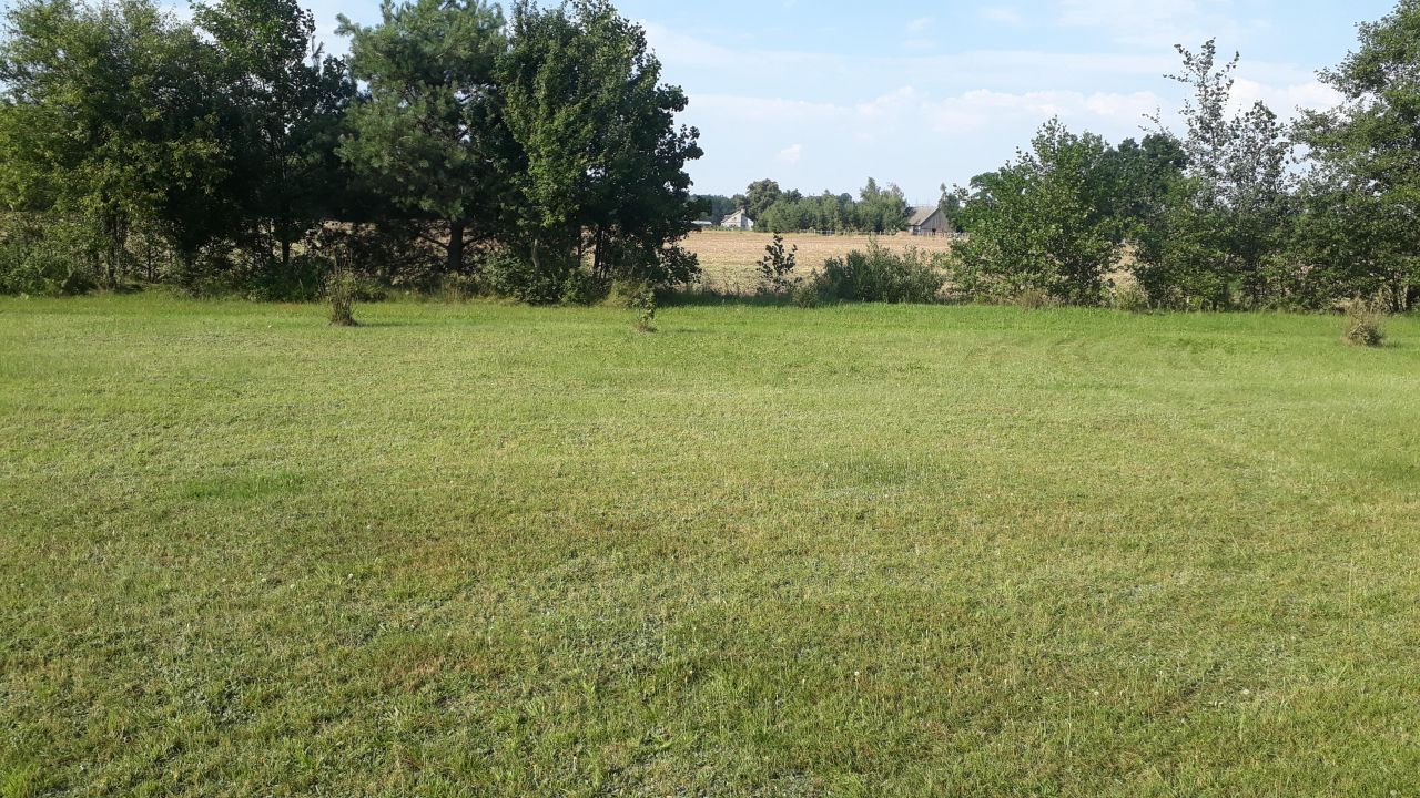 Działka siedliskowa Tarkowo Dolne. Zdjęcie 9