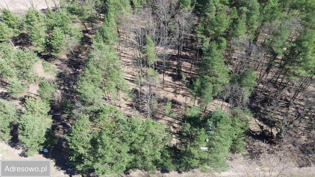 Działka budowlana Marynino. Zdjęcie 7